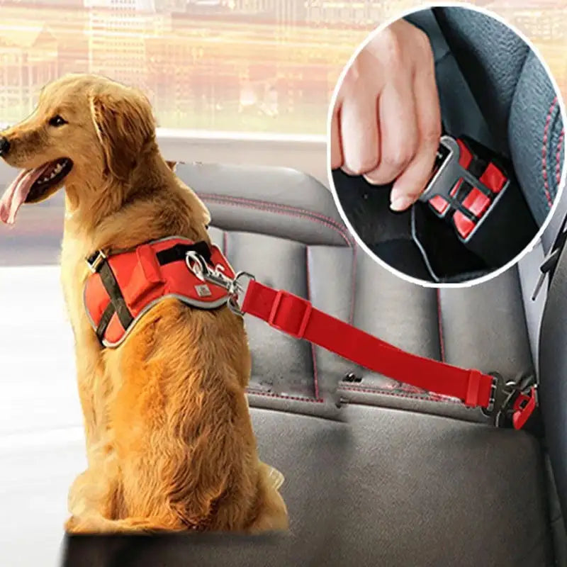 Telescopic Traction Rope Car Seat Belt For Pets